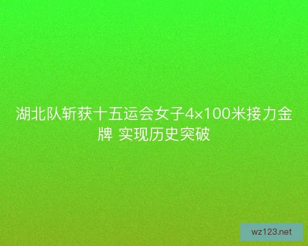 湖北队斩获十五运会女子4×100米接力金牌 实现历史突破