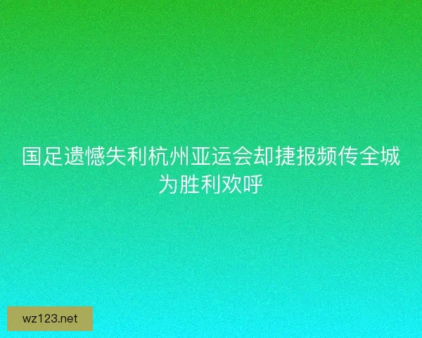 国足遗憾失利杭州亚运会却捷报频传全城为胜利欢呼