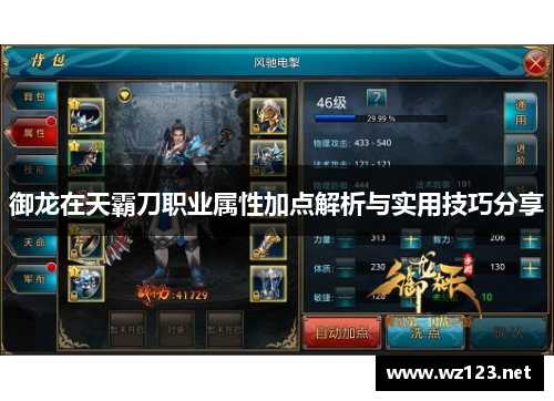 御龙在天霸刀职业属性加点解析与实用技巧分享