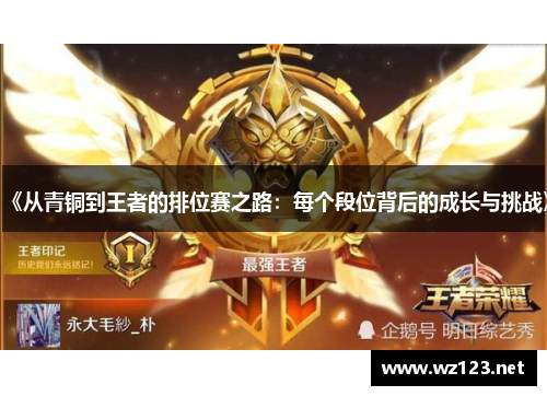 《从青铜到王者的排位赛之路：每个段位背后的成长与挑战》